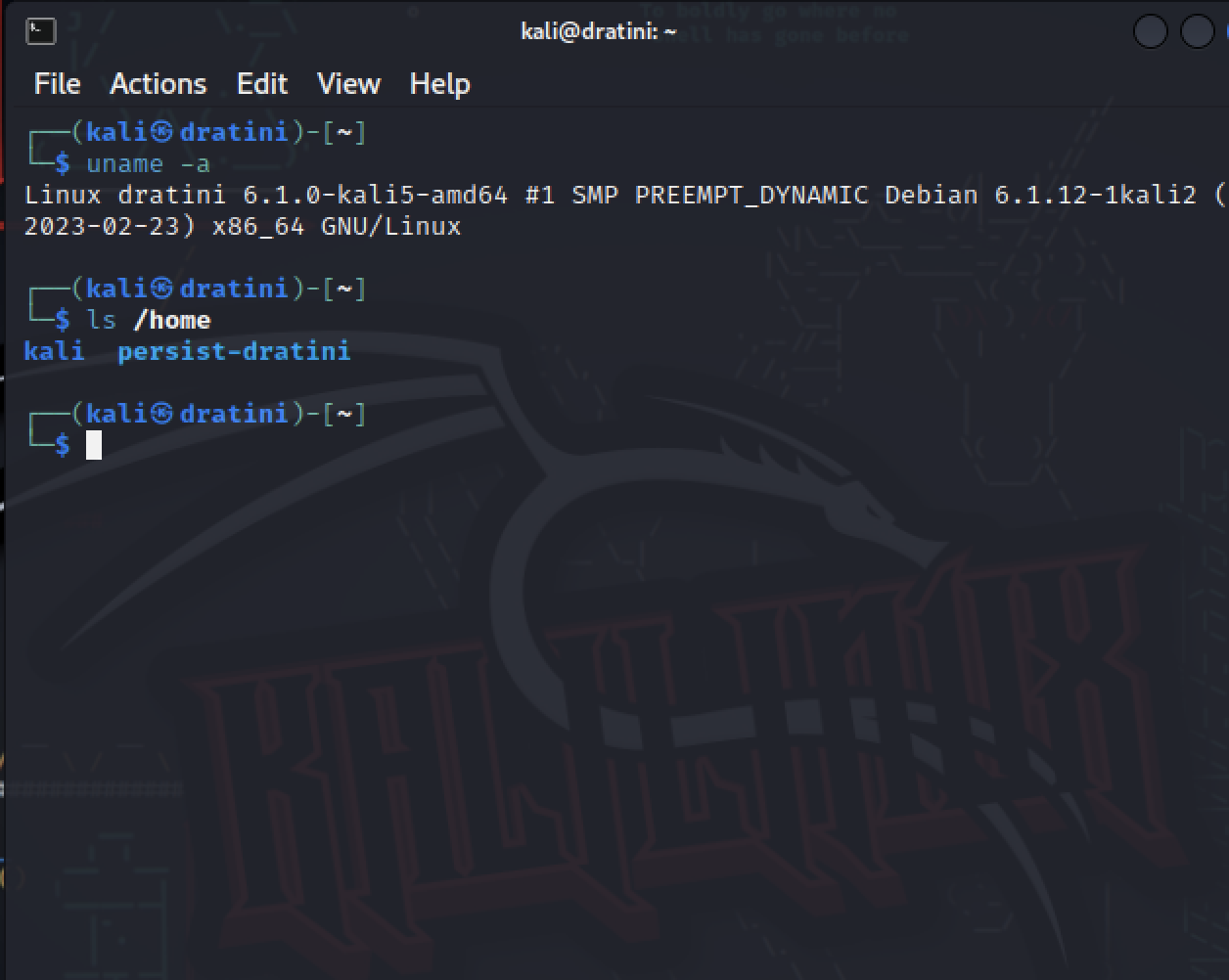 kali hostname and mounted folder